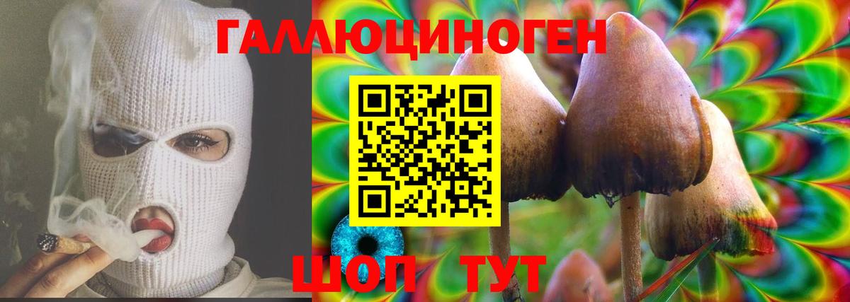 Псилоцибиновые грибы ЛСД  Псилоцибиновые грибы прущие грибы  Куйбышев  купить   Вход с VPN 