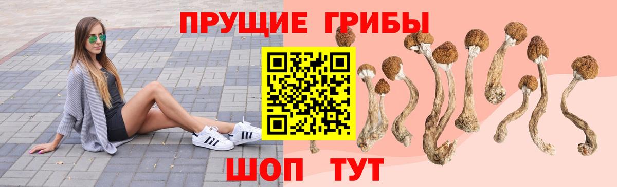 Галлюциногенные грибы прущие грибы Куйбышев